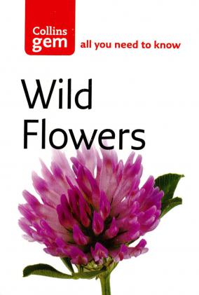 Collins Gem - WILD FLOWERS | The Canal Shop Company