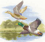 Xst(hs) - Mallards in Flight